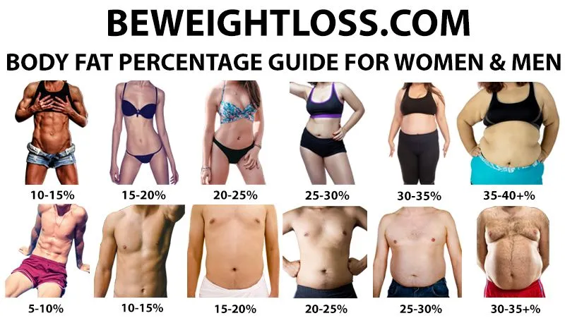 A Body Fat Percentage Chart Comparison For Men And Women